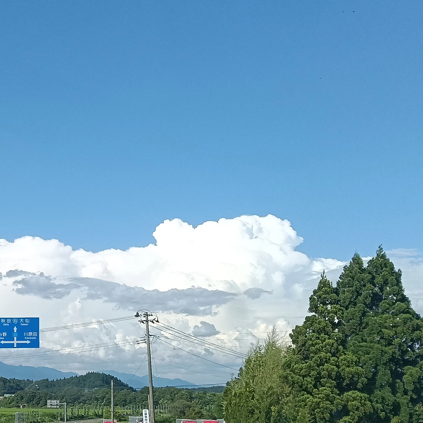 イコ
