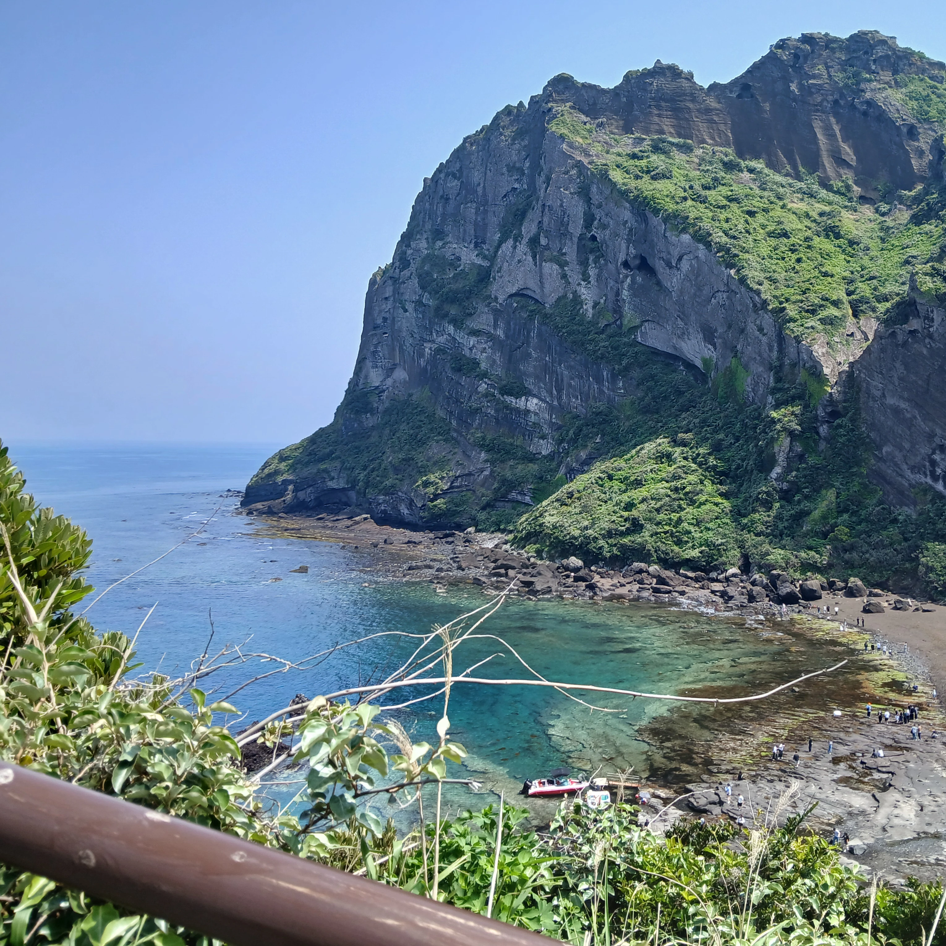 보넥도