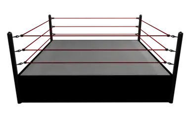 Profile image of Pro Wrestling RP