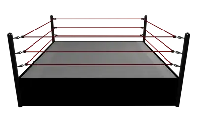 GreasyBoy2304의 Pro Wrestling RP