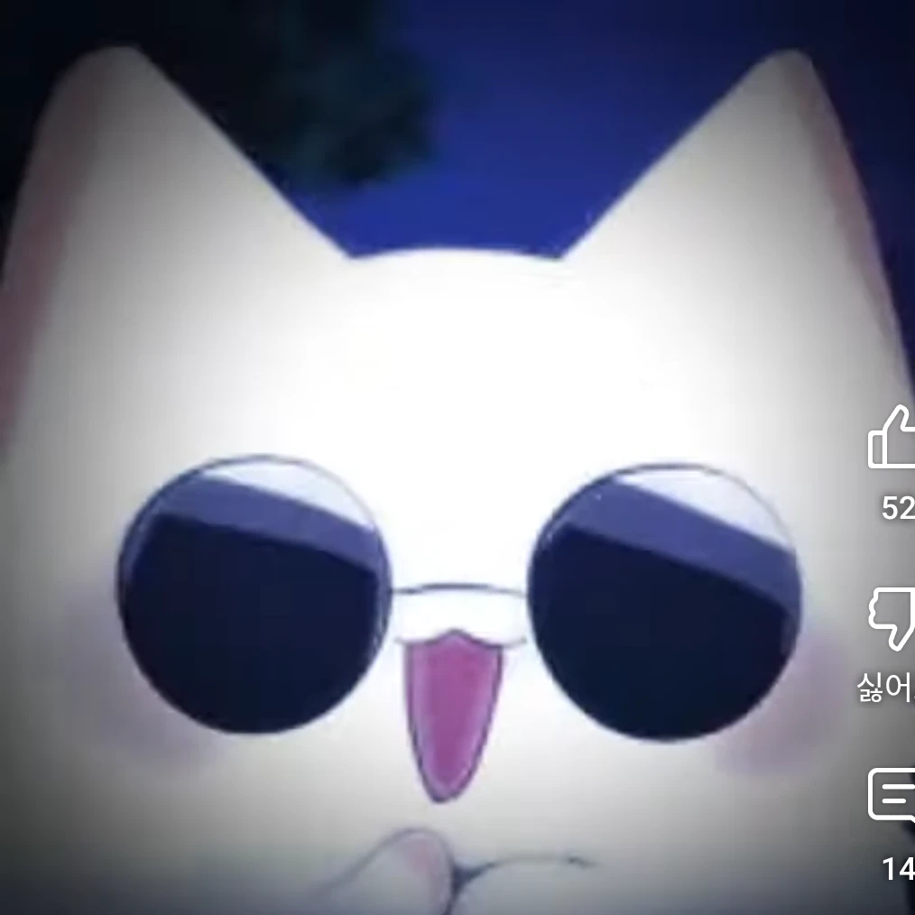 아가 고양이 고죠