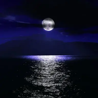 Profile image of Mr. Night