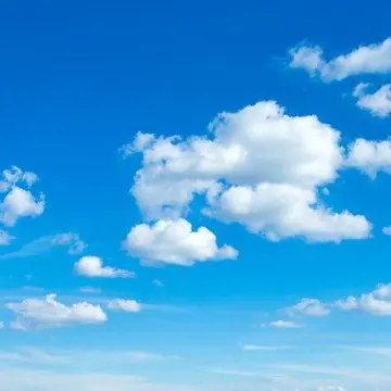 Profile image of Mr. Blue Sky