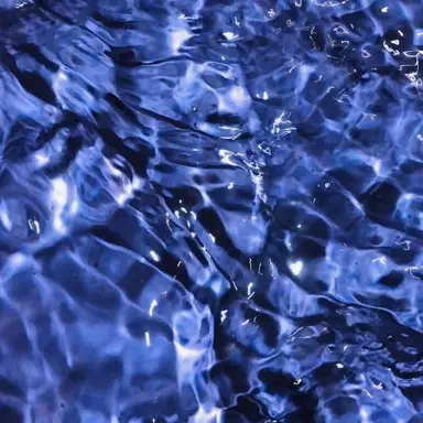 Profile image of 파이브