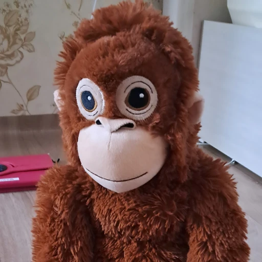 오랑우탄