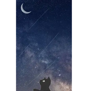 Profile image of ユキ