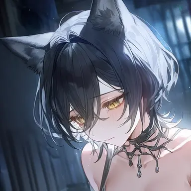Profile image of シルフ