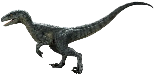 Profile image of 델타