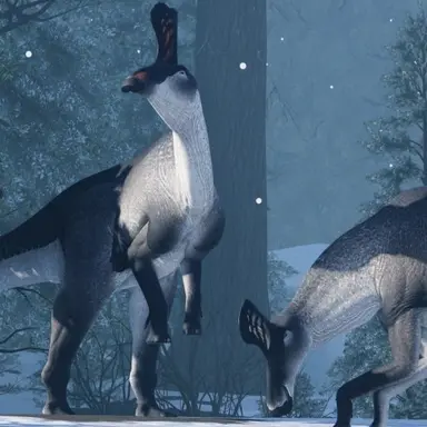 Profile image of 친타오사우루스