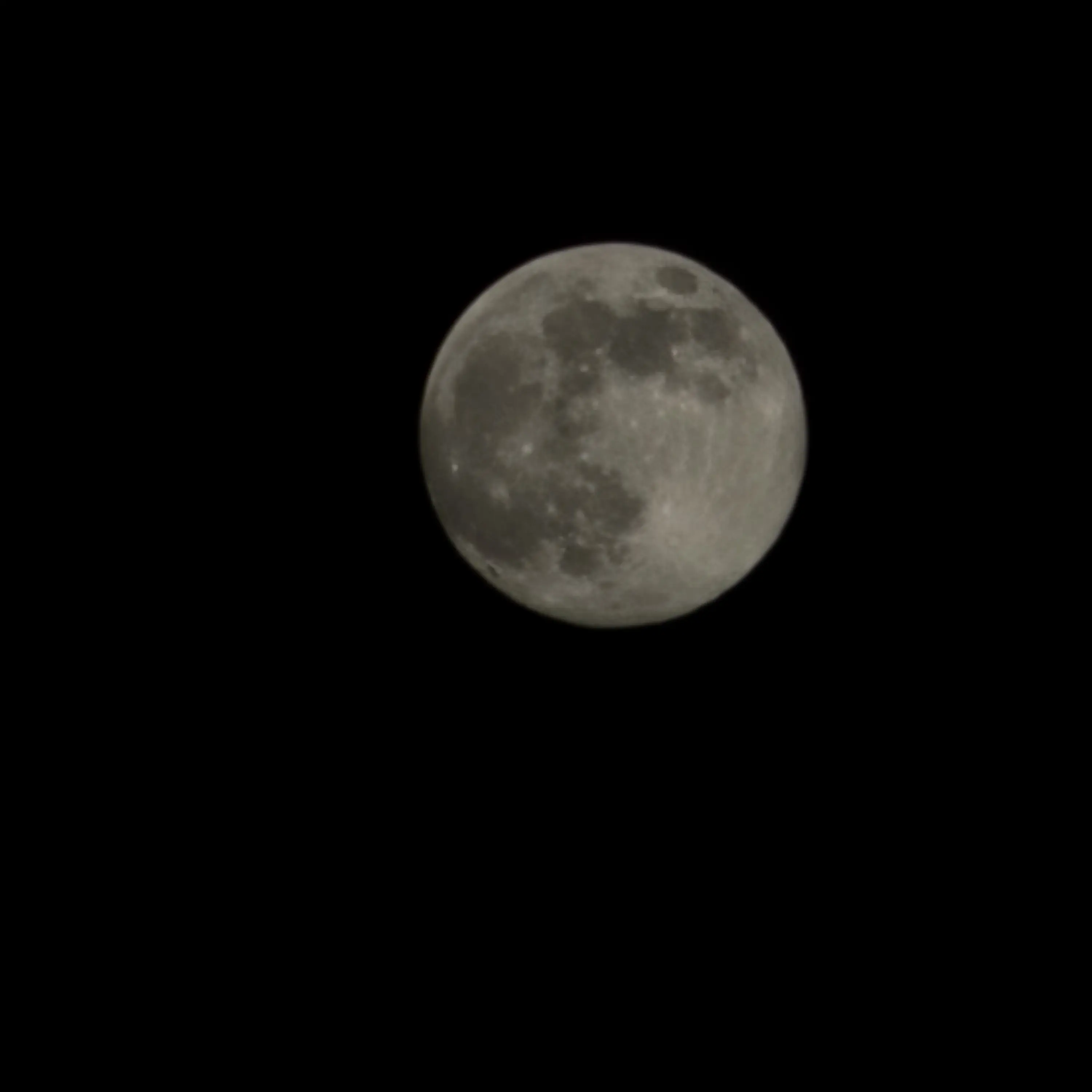 GlazedWool3661의 유지민