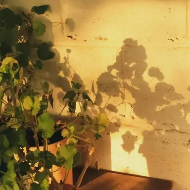 Profile image of 각별