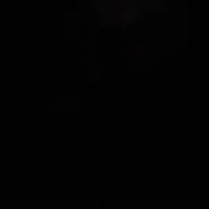 Profile image of 미쉘