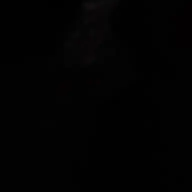 Profile image of 피에르