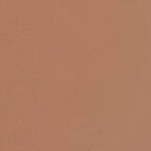 여우