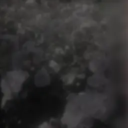 Profile image of うり