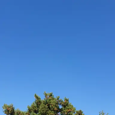 Profile image of 한동민