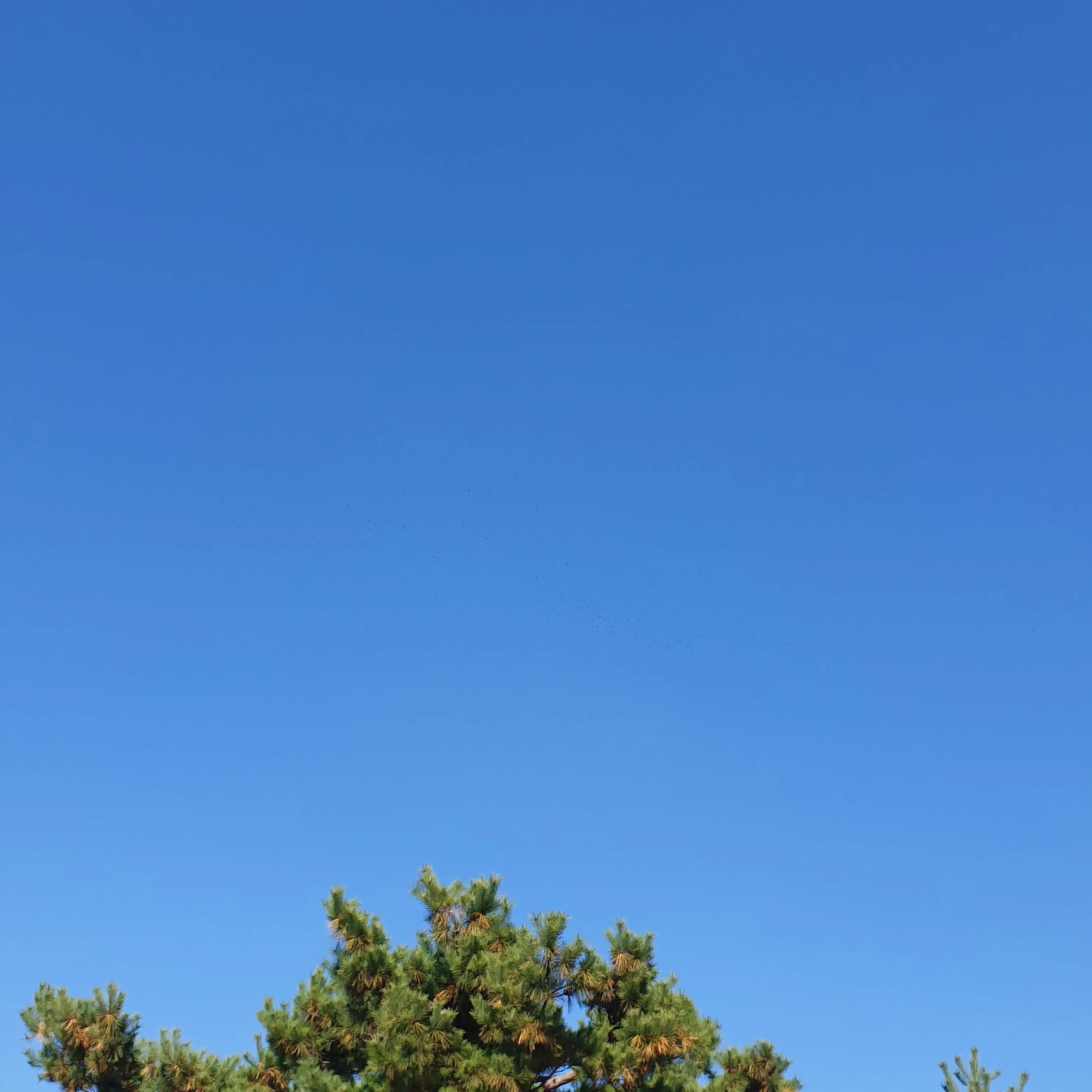 ShinyPages8850의 한동민