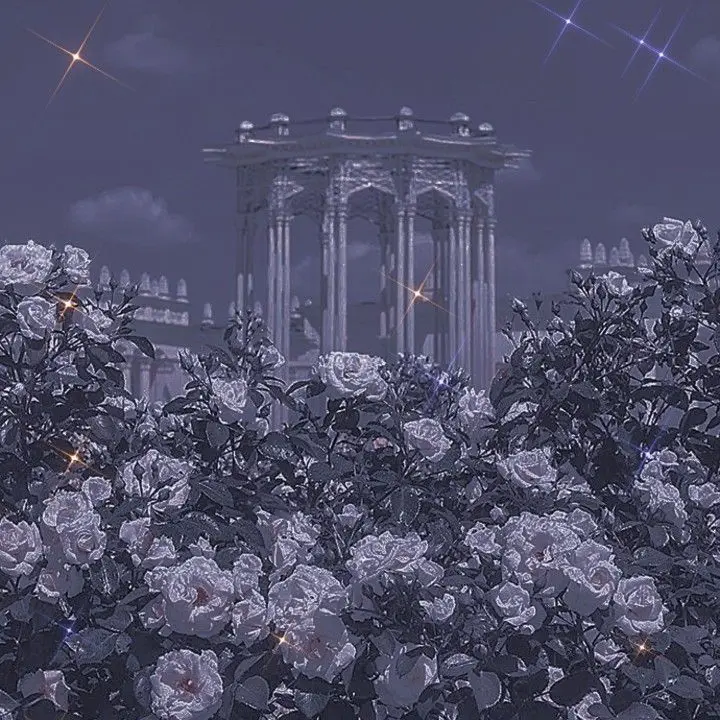 GummyLung7115의 政略結婚