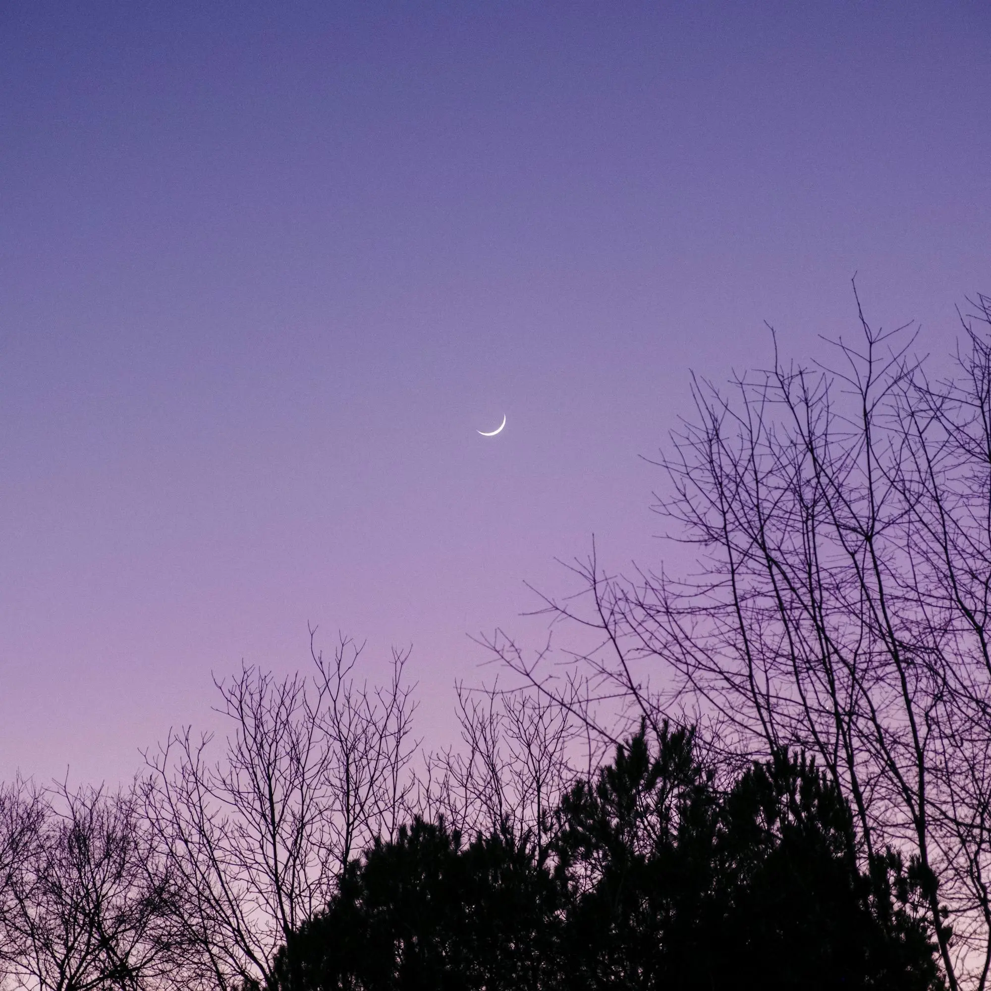 yosan.g의 오토 레이니