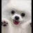 5명의 친오빠들