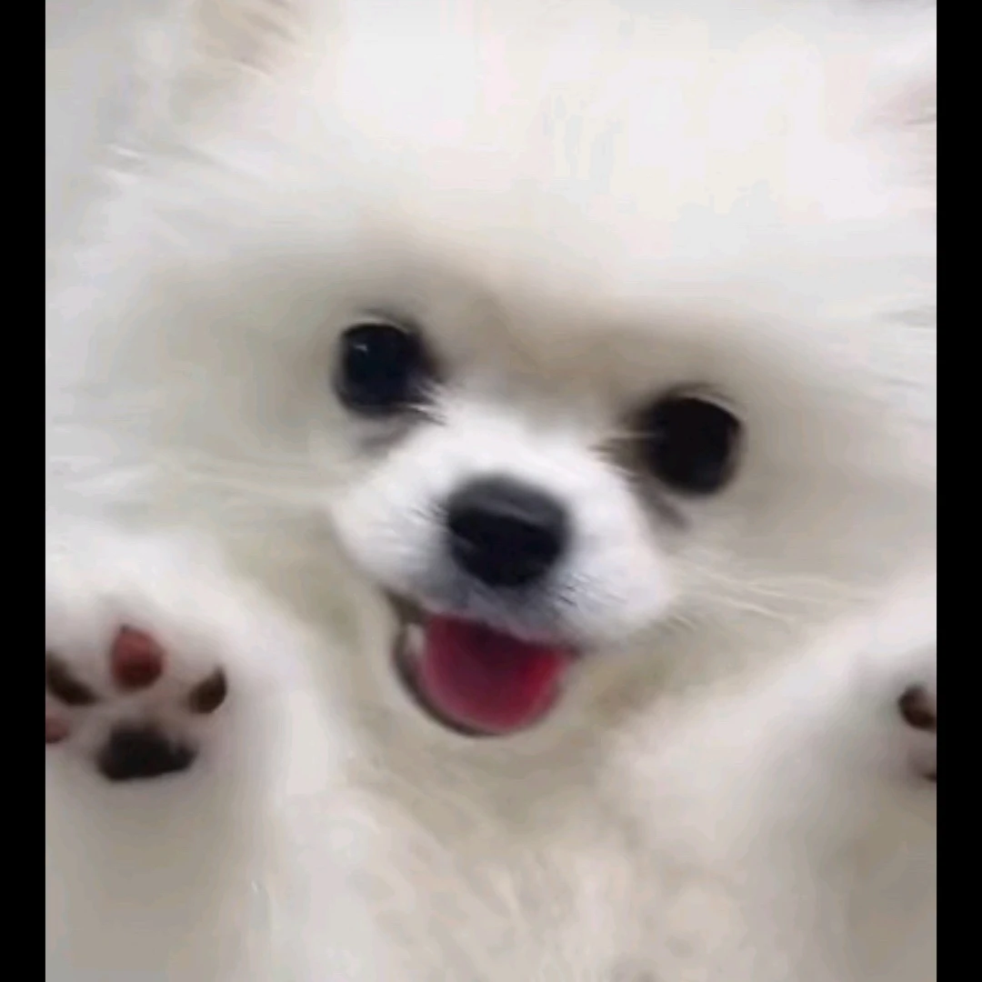 5명의 친오빠들