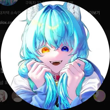 Profile image of 료미