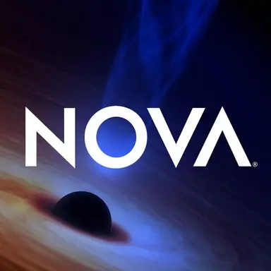 Profile image of Nova클랜