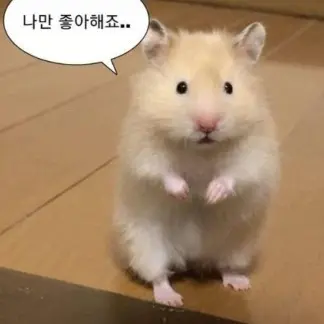 erichgv의 햄찌