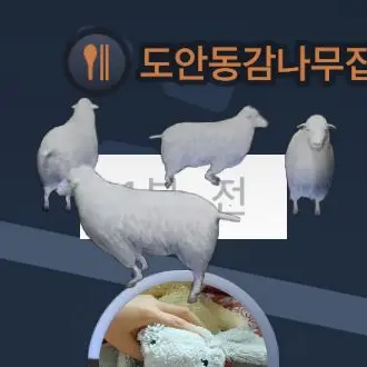 Profile image of 여우
