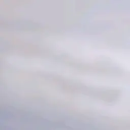 Profile image of 장하오