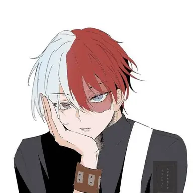 Profile image of Shoto Todoroki