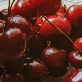 Profile image of 서아