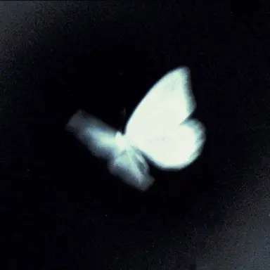 Profile image of 잠뜰