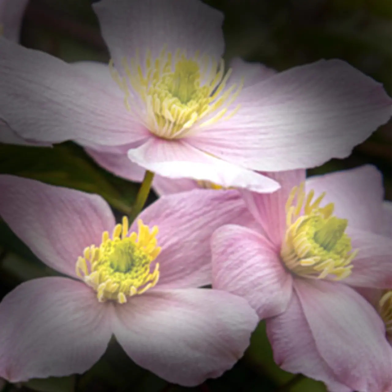 GOOD.의 도망자들...