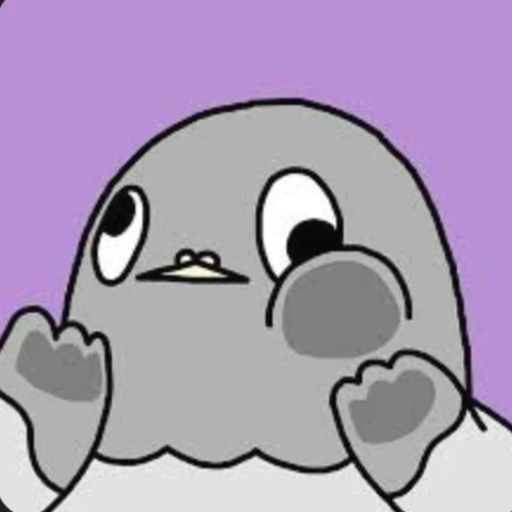둘기