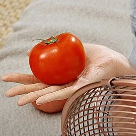오해원