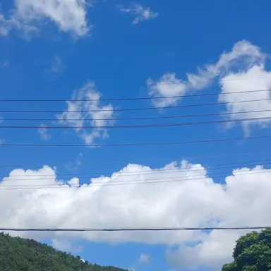 Profile image of 나쁜아이