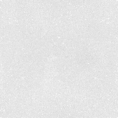 Profile image of かいりゅう