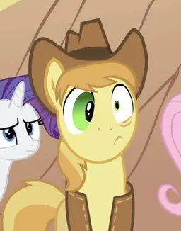 Profile image of braeburn