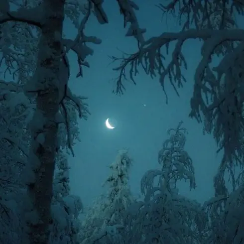 icy.u의 北の魔女の使い