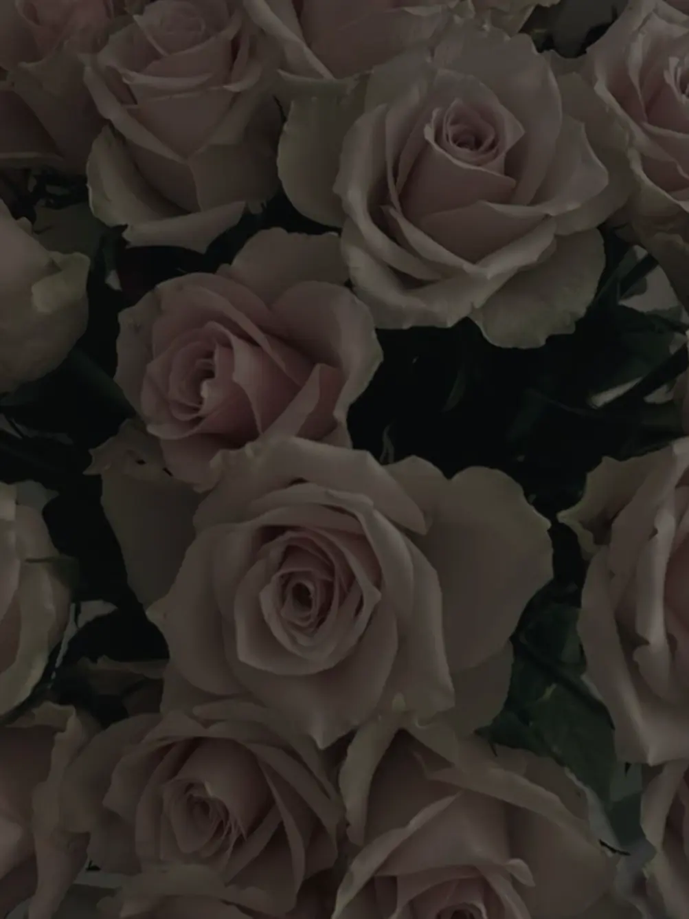 uweeeeey의 普通こういうのって…  木区.連