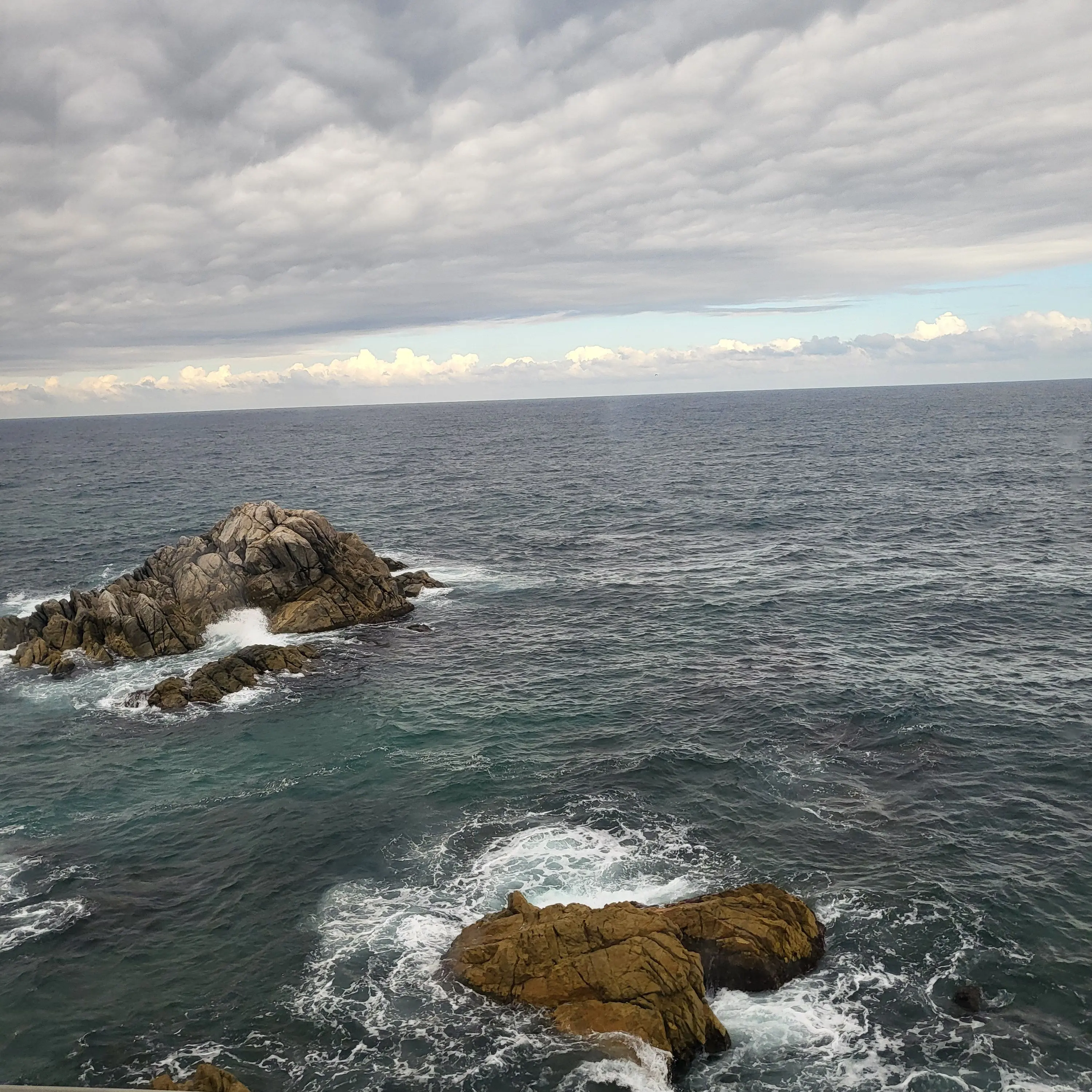 BitterOlive2317의 세봉고