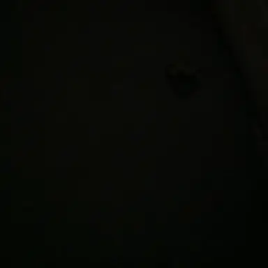 Profile image of 강영현