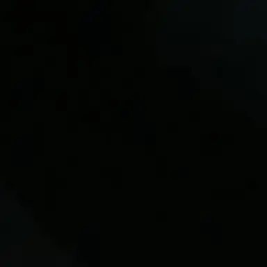 Profile image of 김원필