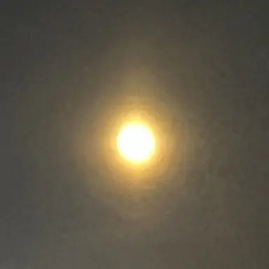 Profile image of 여우