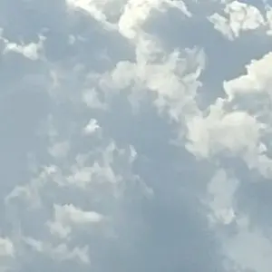 Profile image of H