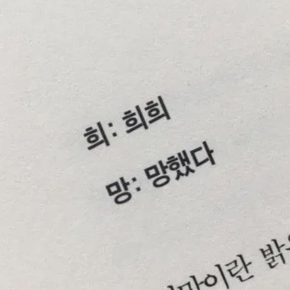 안연민 대표 이미지