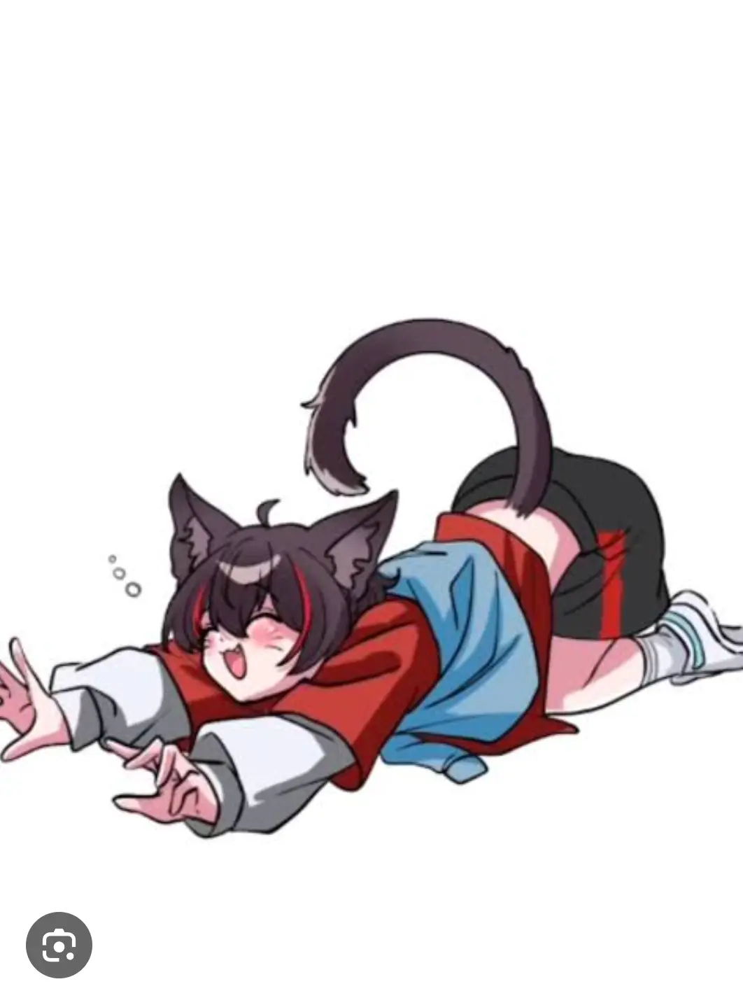 MOCACHIdayo의 猫の世界で……