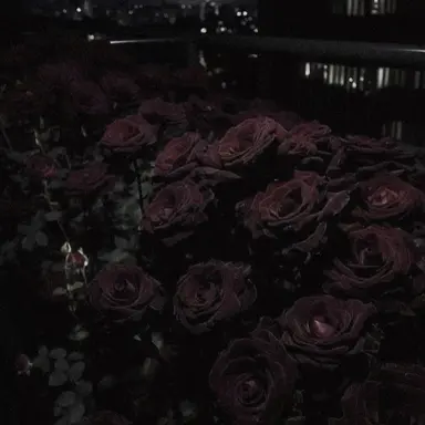 Profile image of 호시나 소우시로