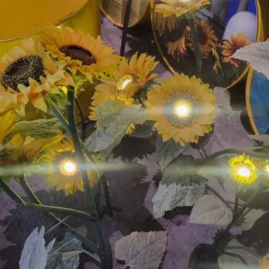 Profile image of 슈메 슈이프